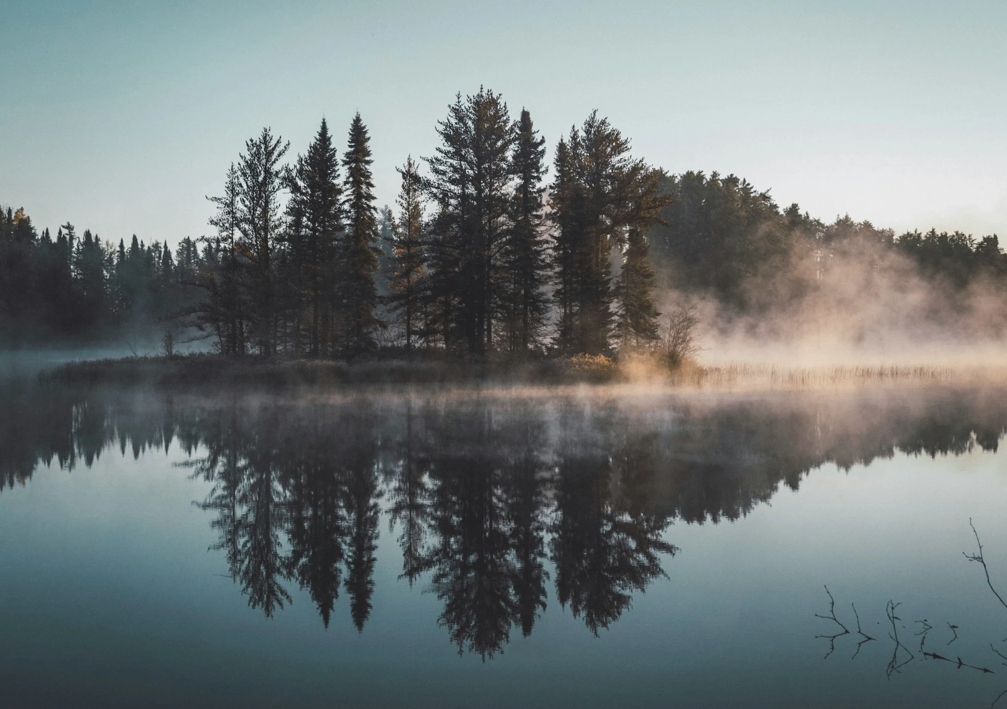 Nordisk skog vid en stilla sjö